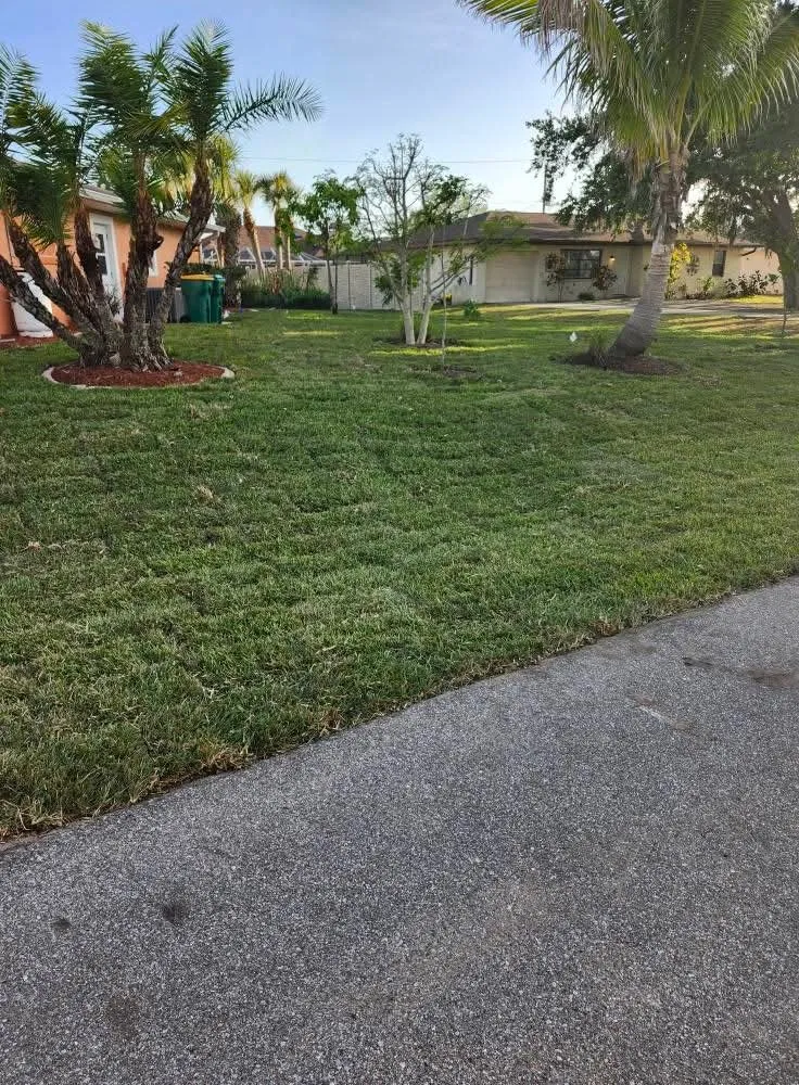 Affordable landscape installation in Nocatee, FL - B E Landscape Service