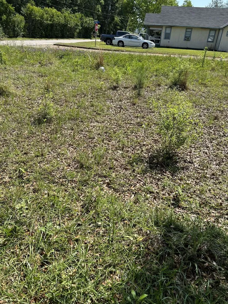 Custom yard maintenance in Enterprise, AL by B E Lawncare