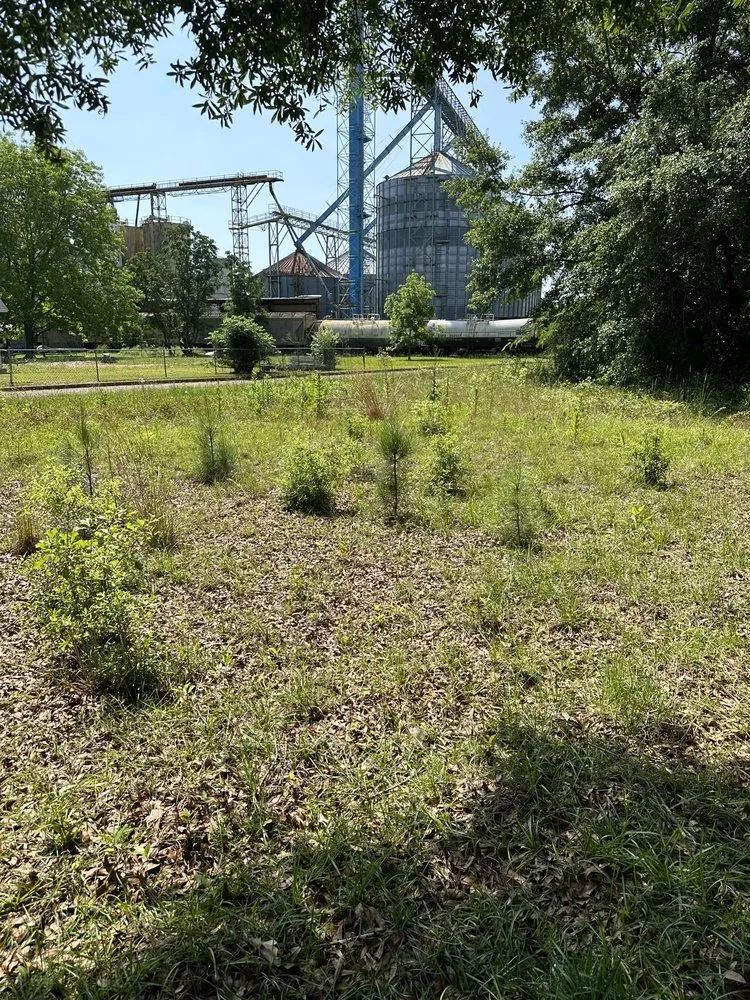 Trusted residential landscaping experts serving Enterprise, AL - B E Lawncare