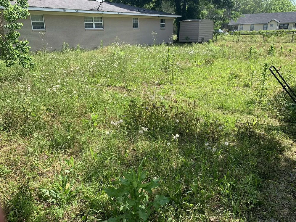 Custom yard maintenance experts serving Enterprise, AL - B E Lawncare