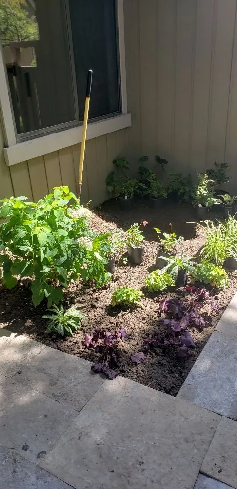 Affordable yard cleanup service in Carpentersville, IL by B Franco Landscaping