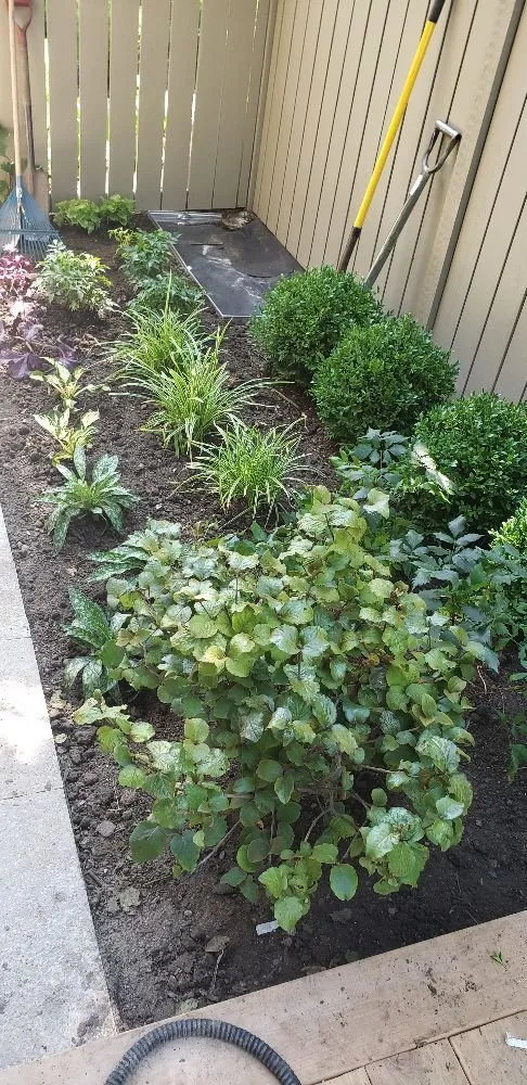 Trusted garden landscaping for year-round maintenance in Carpentersville, IL by B Franco Landscaping