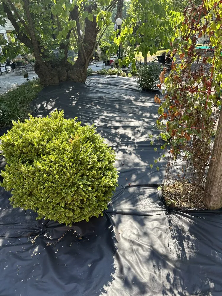 Top-rated landscape design for homes across Mocksville, NC - B Garcia Property Service