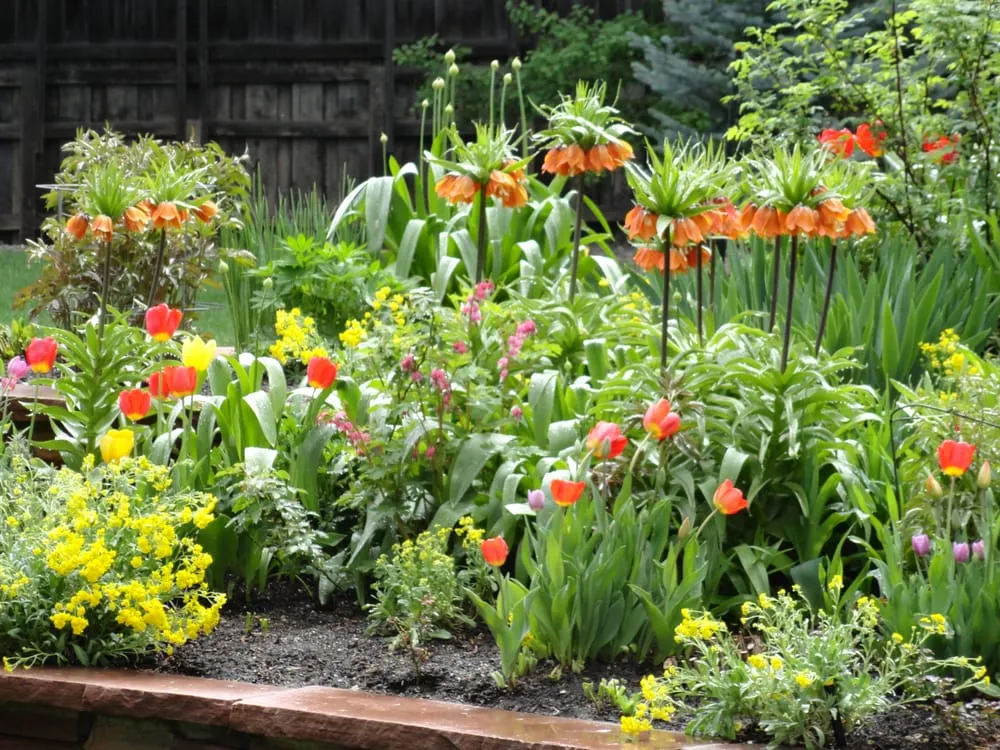 Expert residential landscaping for homes in Englewood, CO by B Gardening Landscape Design