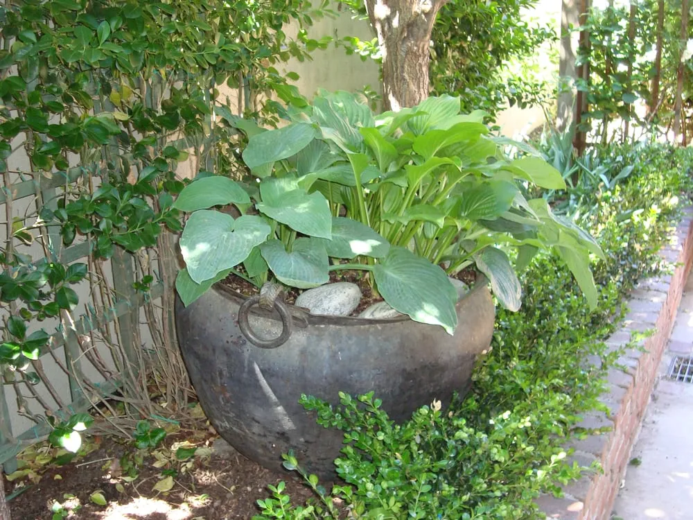 Affordable landscaping services experts serving Englewood, CO - B Gardening Landscape Design