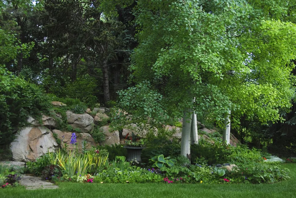 Affordable landscape design experts serving Englewood, CO - B Gardening Landscape Design