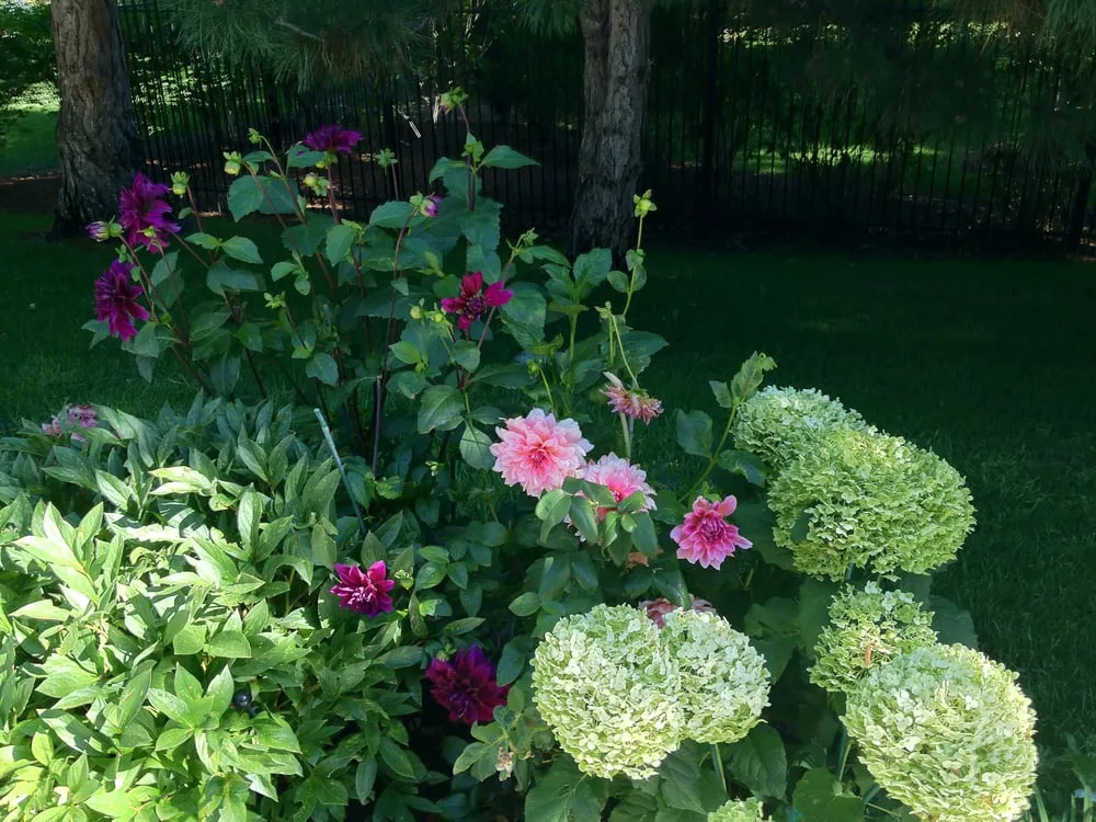 Trusted outdoor landscaping for outdoor upgrades across Englewood, CO - B Gardening Landscape Design