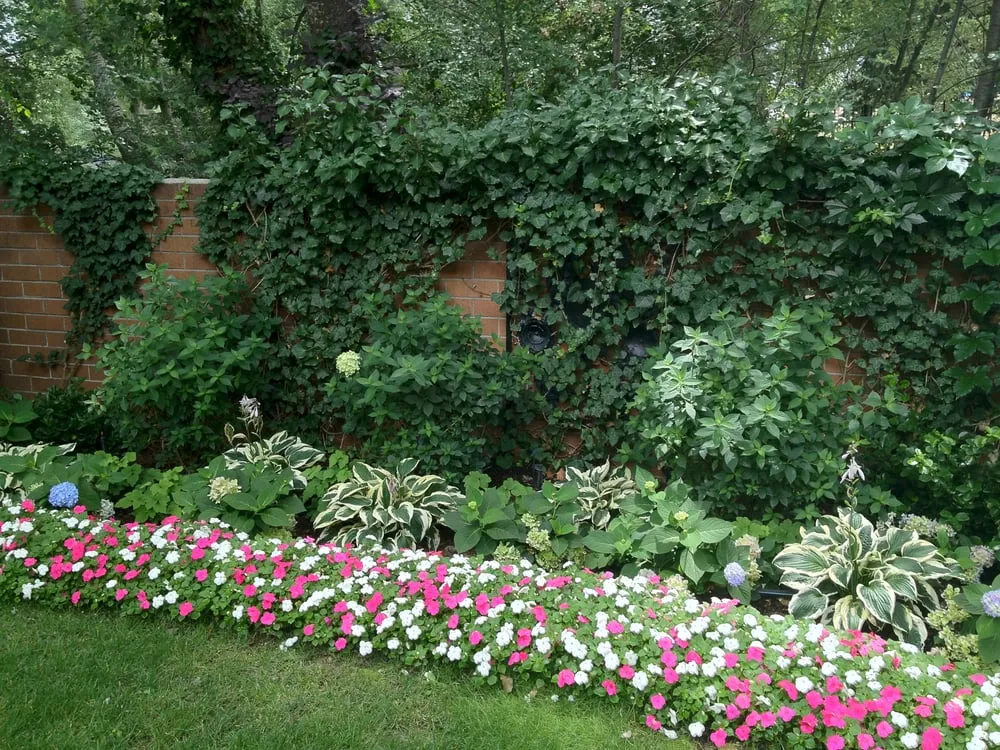 Local yard cleanup service experts serving Englewood, CO - B Gardening Landscape Design