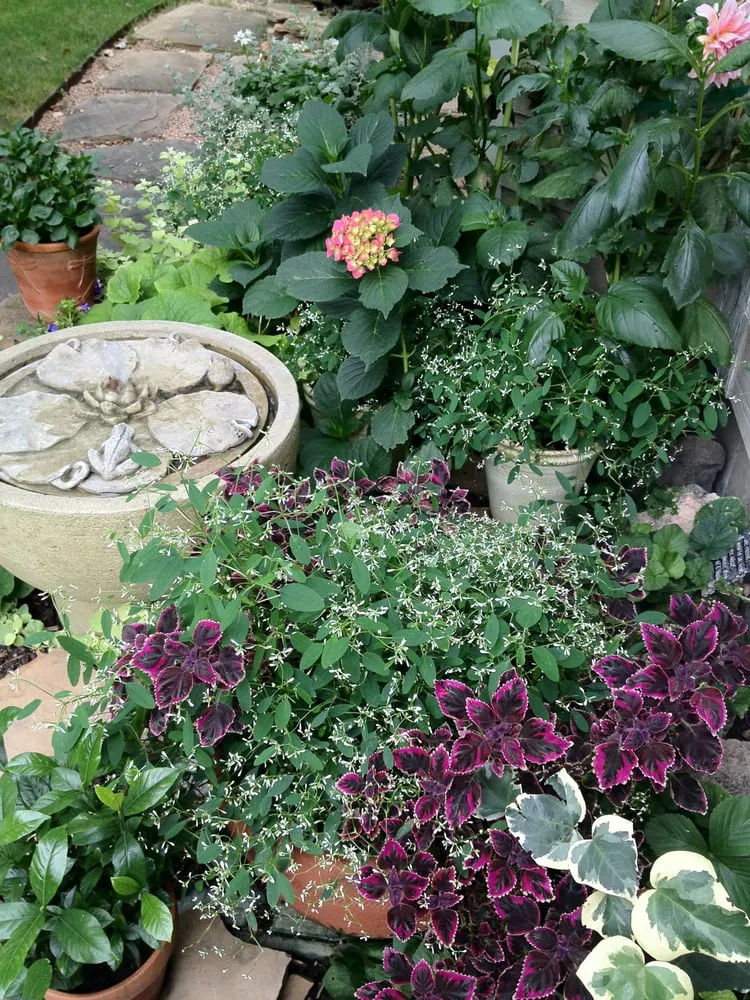 Reliable outdoor landscaping for residential properties across Englewood, CO - B Gardening Landscape Design