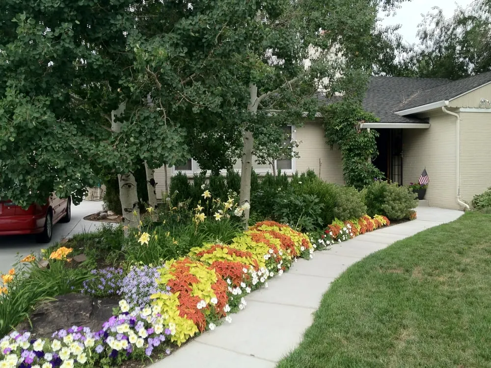 Top-rated landscaping services experts serving Englewood, CO - B Gardening Landscape Design