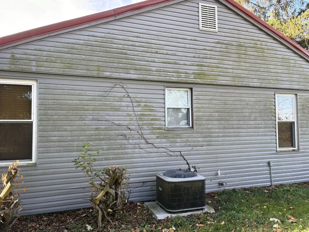 Professional garden landscaping in Danville, OH - B. Great