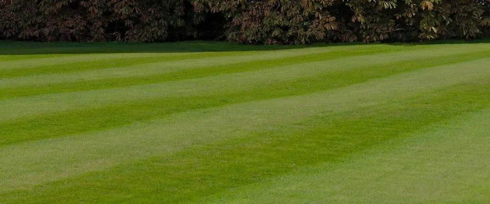 Trusted residential landscaping for year-round maintenance across Tampa, FL - B Green Lawn and Shrub Care