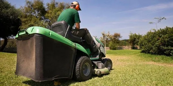 B G’s Landscaping and Tree Service