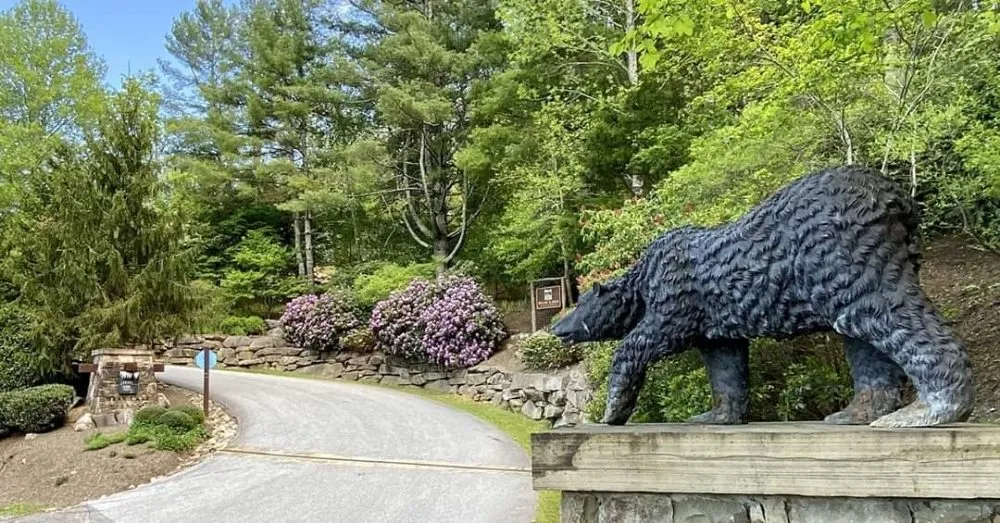 Trusted landscape design in Canton, NC - B. H. Graning Landscapes, Inc.