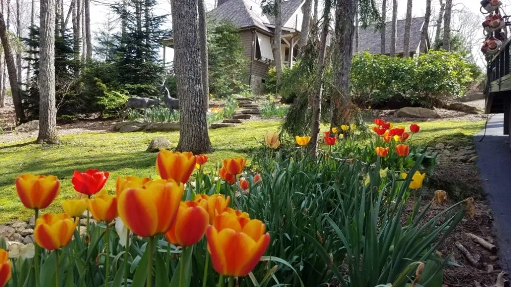 Custom yard cleanup service experts serving Canton, NC - B. H. Graning Landscapes, Inc.