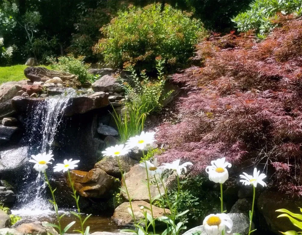 Professional landscaping services experts serving Sylva, NC - B. H. Graning Landscapes
