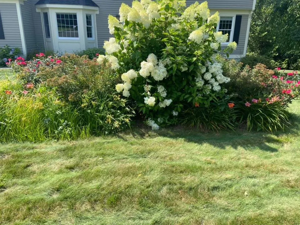 Local lawn mowing service for year-round maintenance in Vernon, CT by B Hills Property Services