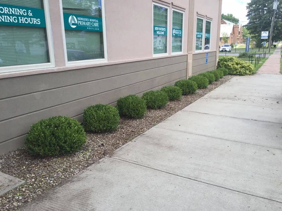 Expert yard cleanup service for year-round maintenance in Vernon, CT by B Hills Property Services