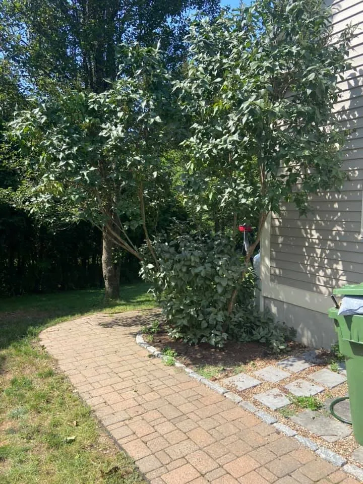 Reliable outdoor landscaping for homes across Vernon, CT - B Hills Property Services