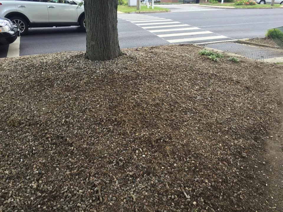 Top-rated landscape design for homes across Vernon, CT - B Hills Property Services