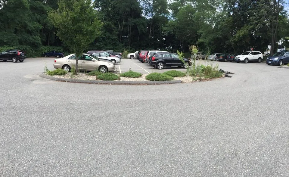 Top-rated lawn care service in Vernon, CT - B Hills Property Services