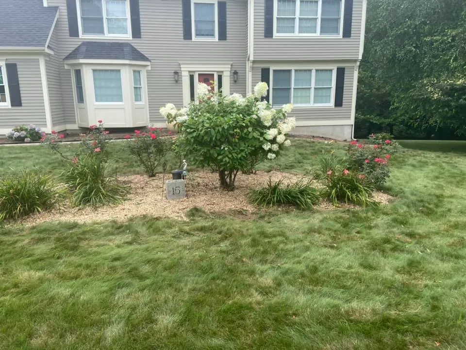 Trusted lawn care service experts serving Vernon, CT - B Hills Property Services