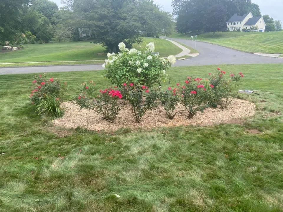 Professional landscaping services in Vernon, CT by B Hills Property Services
