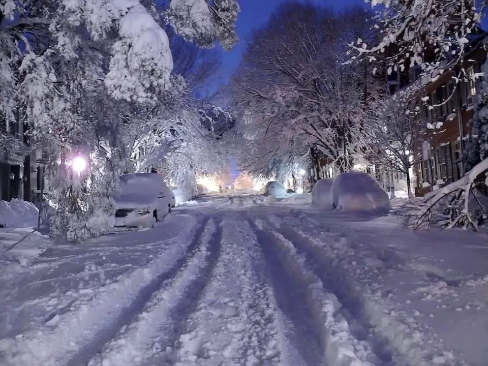 Expert lawn care service for homes in Vernon, CT by B Hills Property Services