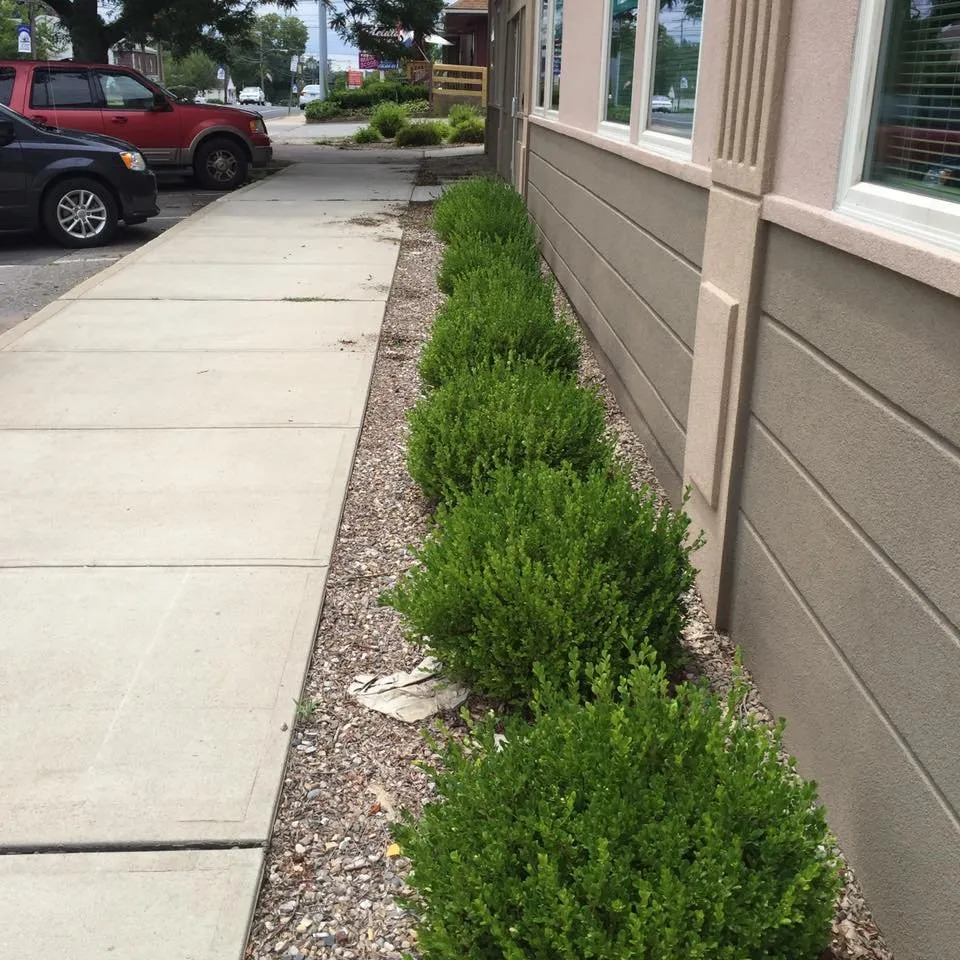 Trusted landscape installation experts serving Vernon, CT - B Hills Property Services