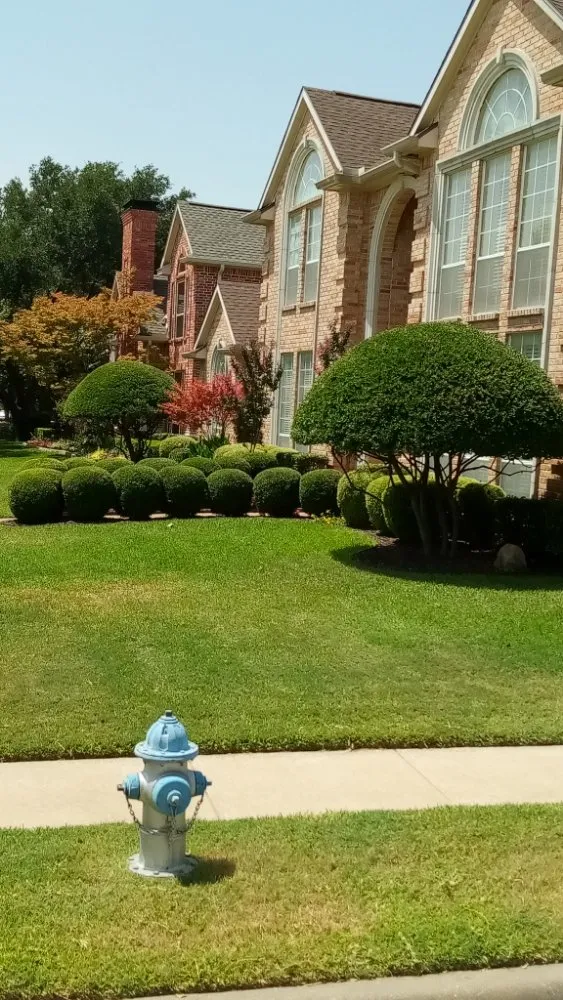 Affordable lawn mowing service in Dallas, TX by B I D I T landsculpture