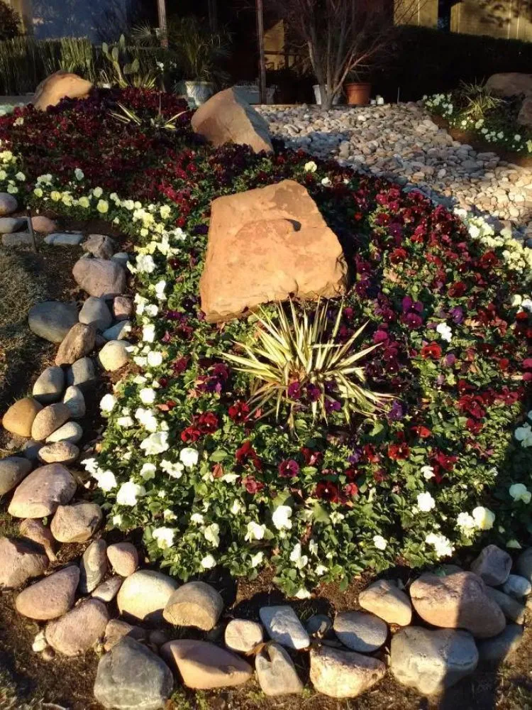 Local landscape design in Dallas, TX - B I D I T landsculpture