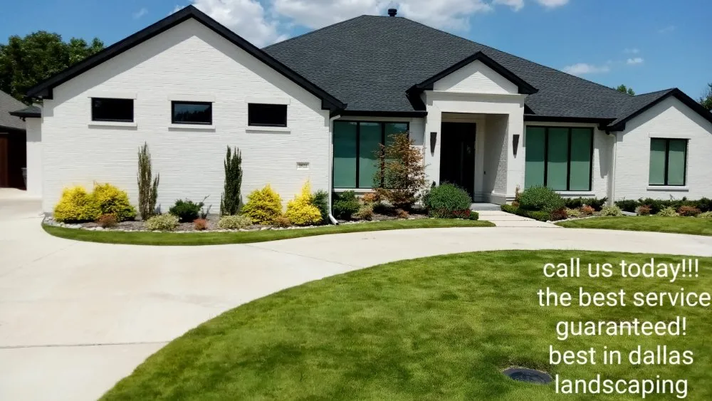 Affordable landscape design in Dallas, TX by B I D I T landsculpture