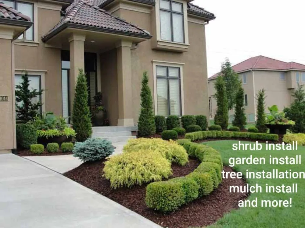 Professional outdoor landscaping in Dallas, TX - B I D I T landsculpture