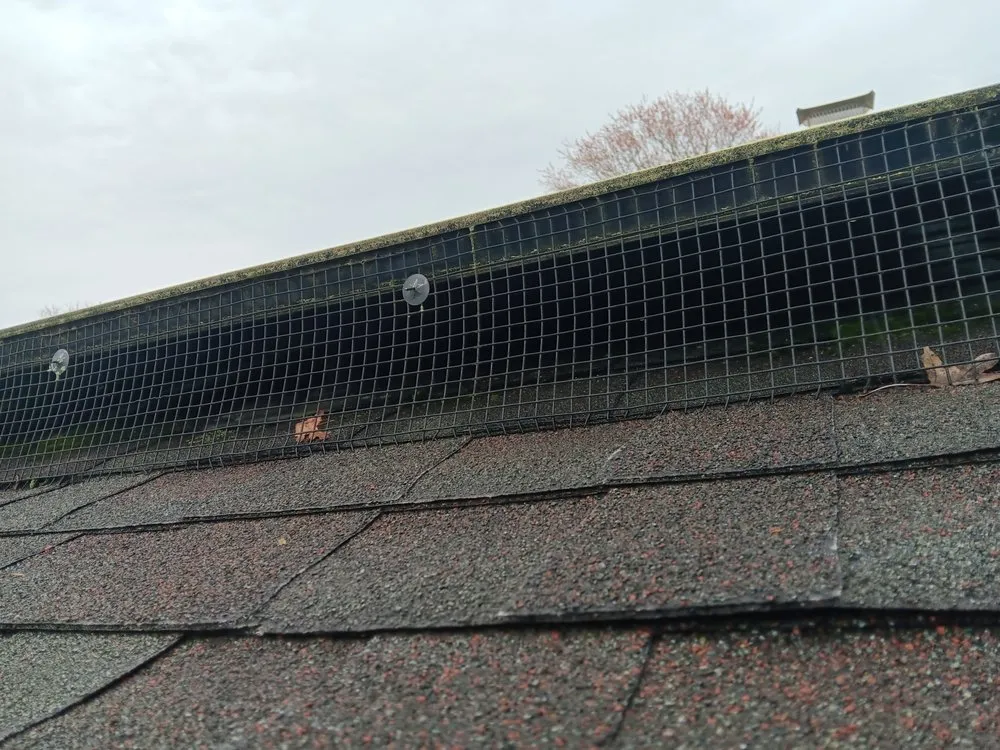 Expert outdoor landscaping for outdoor upgrades across Coram, NY - B Installation