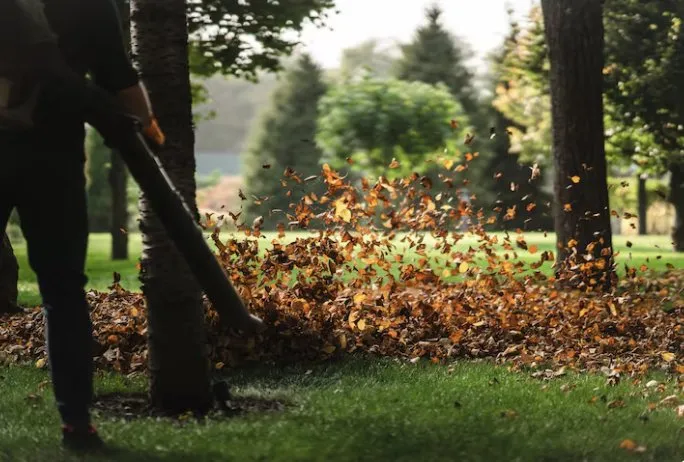 Top-rated residential landscaping in Pittsburgh, PA by B Juracko Grass Cutting