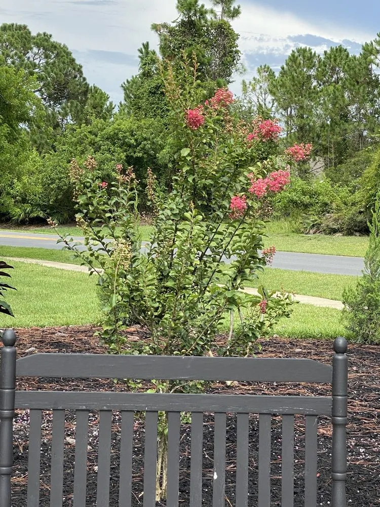 Trusted yard maintenance in St. Cloud, FL by B K Plants