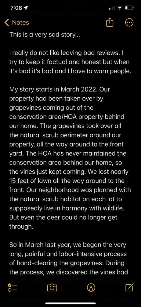 Professional residential landscaping near you in St. Cloud, FL by B K Plants