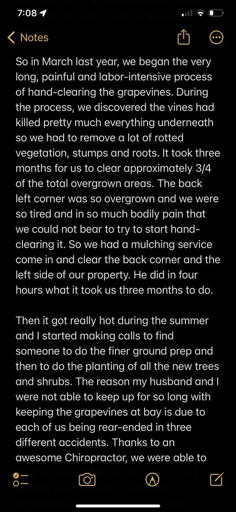 Top-rated lawn mowing service in St. Cloud, FL - B K Plants