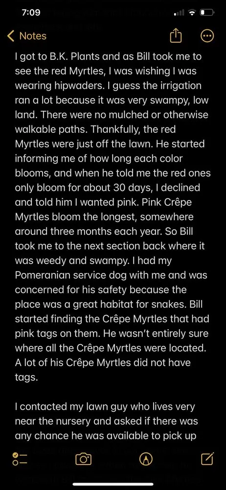 Reliable landscape installation experts serving St. Cloud, FL - B K Plants