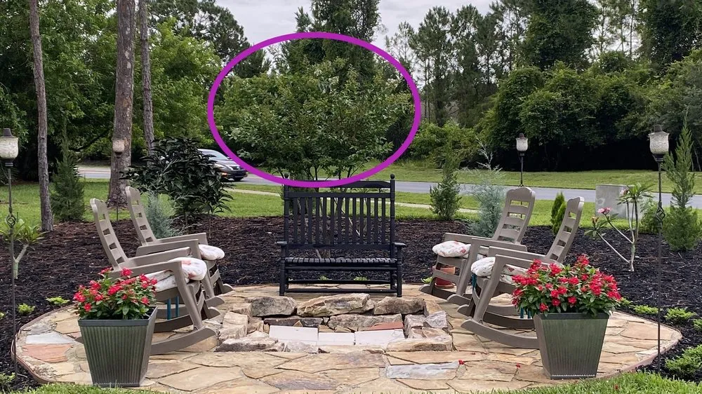 Reliable lawn care service experts serving St. Cloud, FL - B K Plants