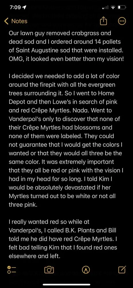 Expert landscaping services experts serving St. Cloud, FL - B K Plants