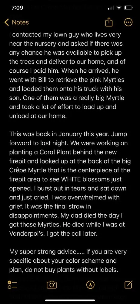 Trusted landscape installation in St. Cloud, FL - B K Plants