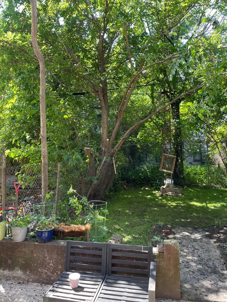 Expert lawn care service in Queens, NY - B Landscaping and Tree Services