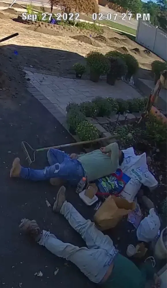 Top-rated lawn mowing service for outdoor upgrades in Queens, NY by B Landscaping and Tree Services