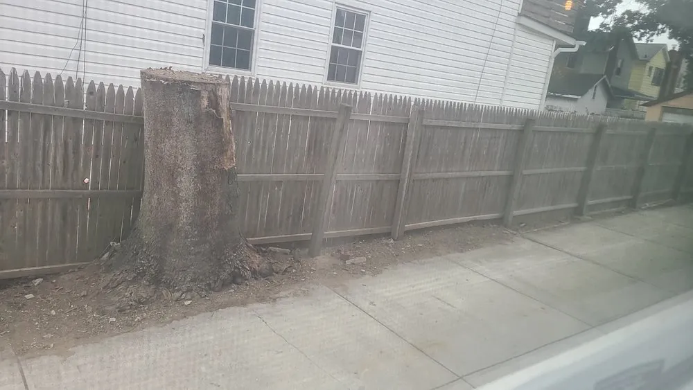 Professional landscape design in Queens, NY by B Landscaping and Tree Services