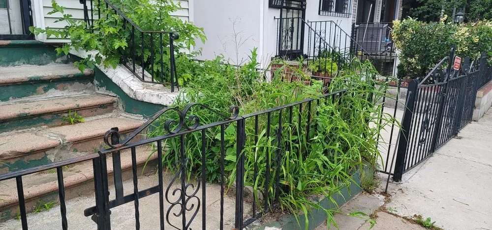 Affordable landscape design with custom design across Queens, NY - B Landscaping and Tree Services