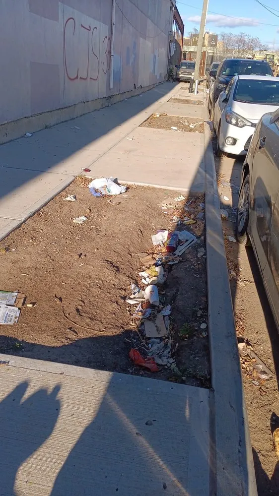 Affordable lawn mowing service with custom design in Queens, NY by B Landscaping and Tree Services