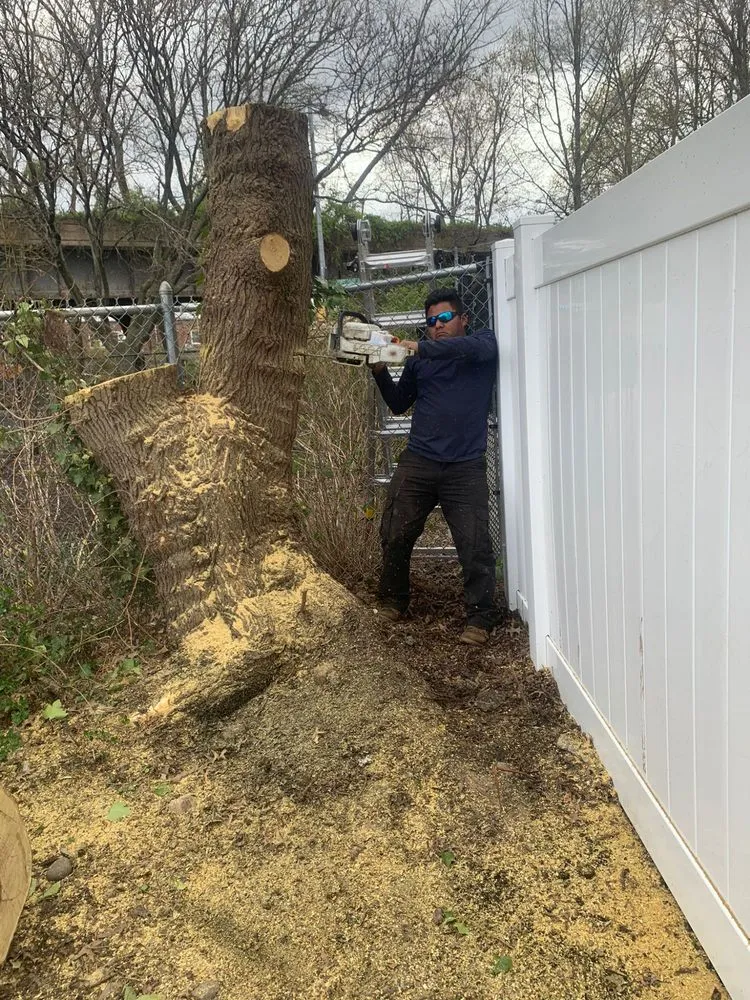 Affordable garden landscaping in Queens, NY - B Landscaping and Tree Services