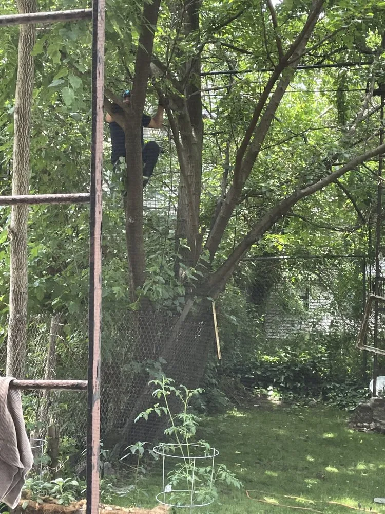 Trusted outdoor landscaping in Queens, NY by B Landscaping and Tree Services