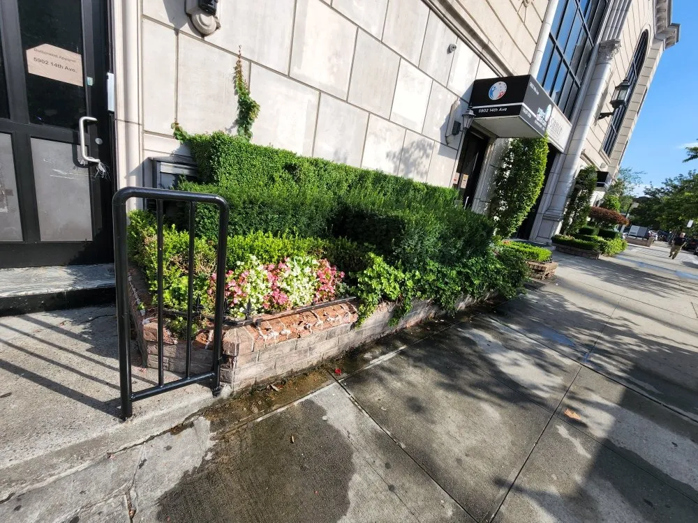 Trusted yard cleanup service experts serving Queens, NY - B Landscaping and Tree Services